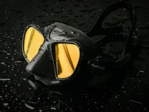 EVOLVE XDream FOLD Mask (Tinted)